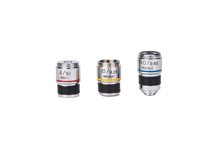 the objective lens the objective lens